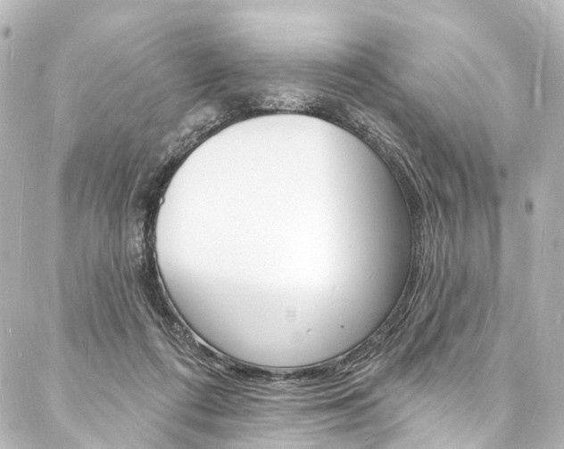 X0000088080312200705111009