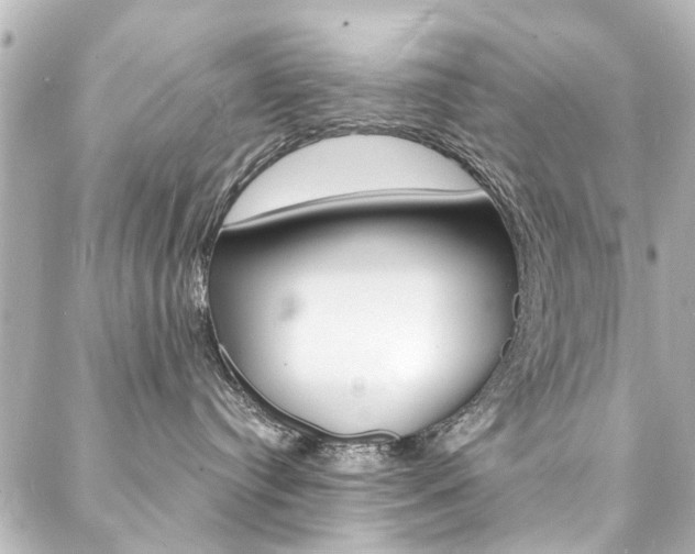 X0000088080384200705111008