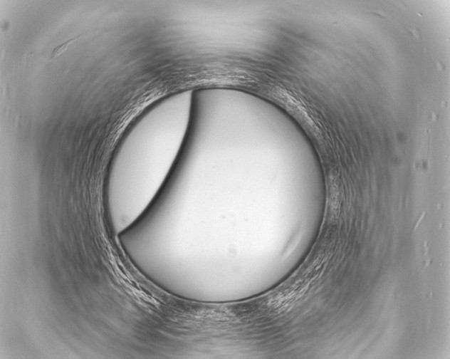 X0000088080386200705111008