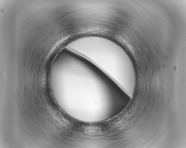 X0000088080400200705111007