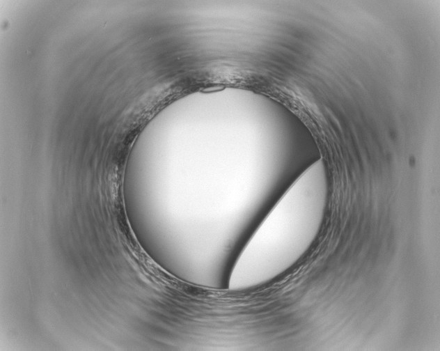 X0000088080413200705111007