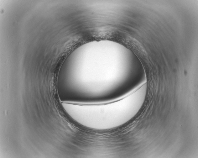 X0000088080416200705111007