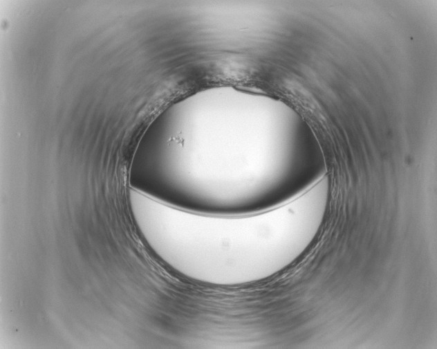 X0000088080425200705111007