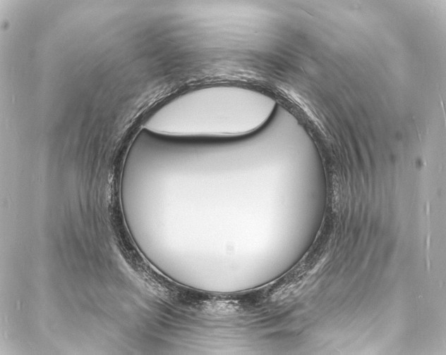 X0000088080451200705111006