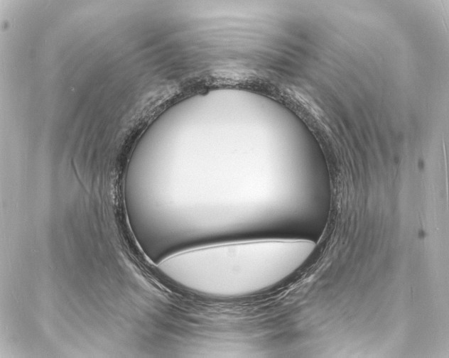X0000088080455200705111007