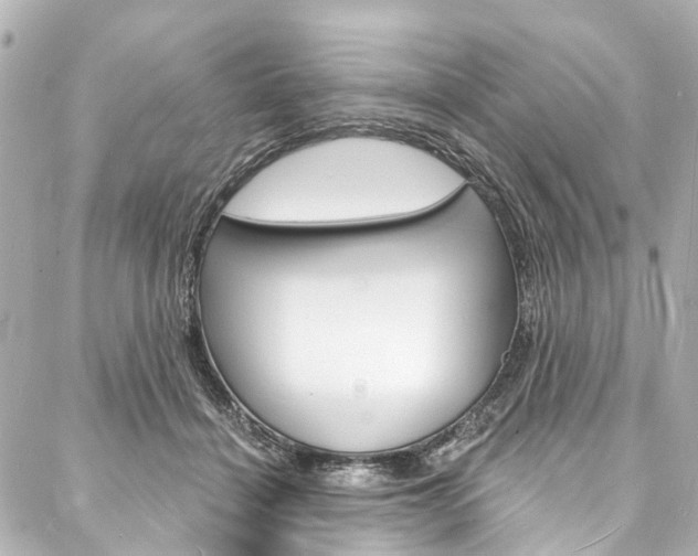 X0000088080460200705111007