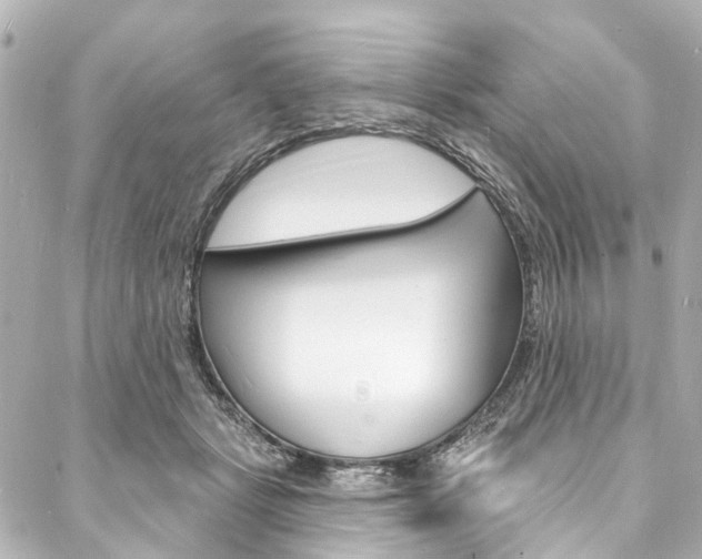 X0000088080461200705111007