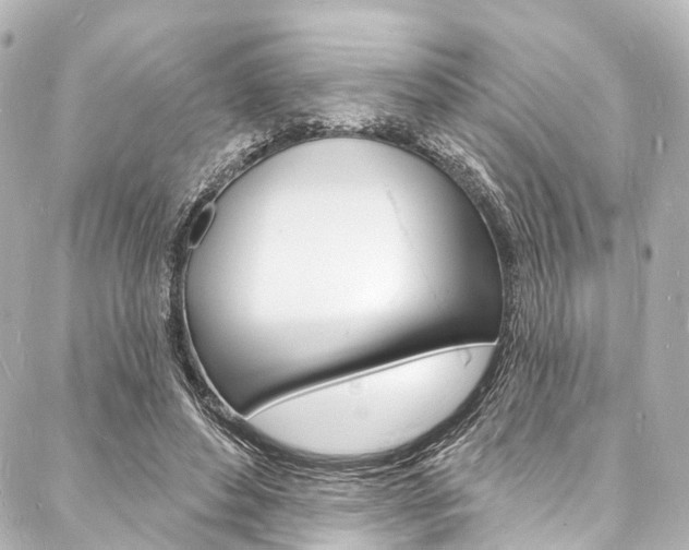 X0000088080496200705111006