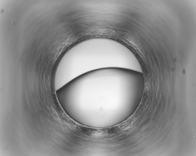 X0000088080504200705111006