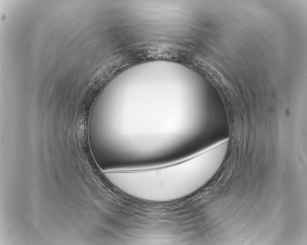 X0000088080513200705111006