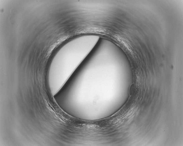 X0000088080539200705111005