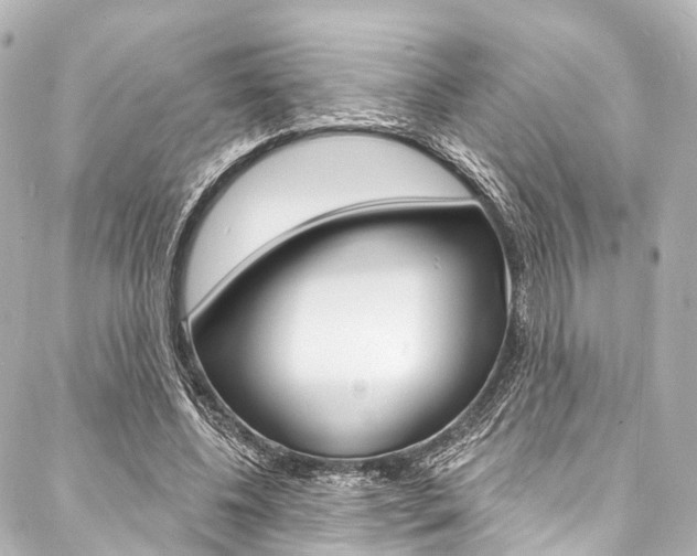 X0000088080540200705111005