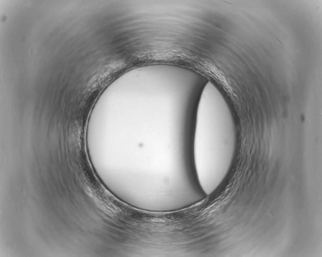 X0000088080542200705111005
