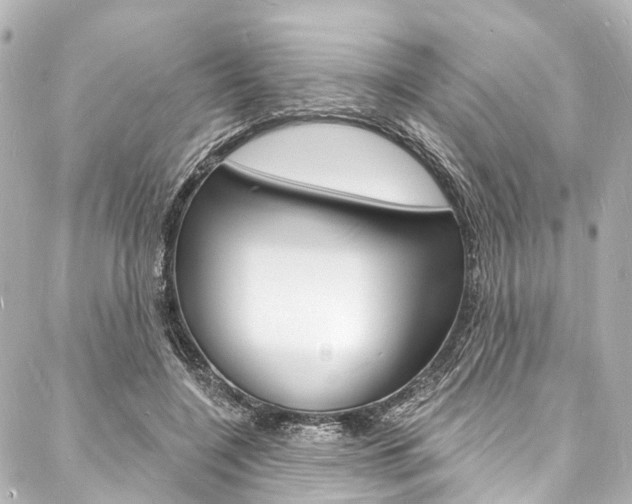 X0000088080548200705111005