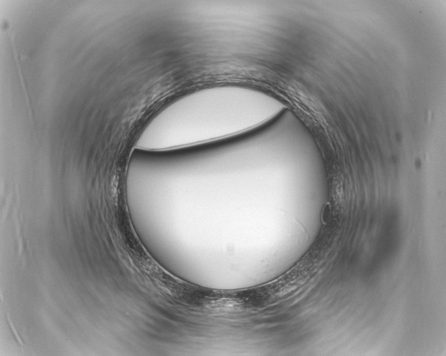 X0000088080551200705111005