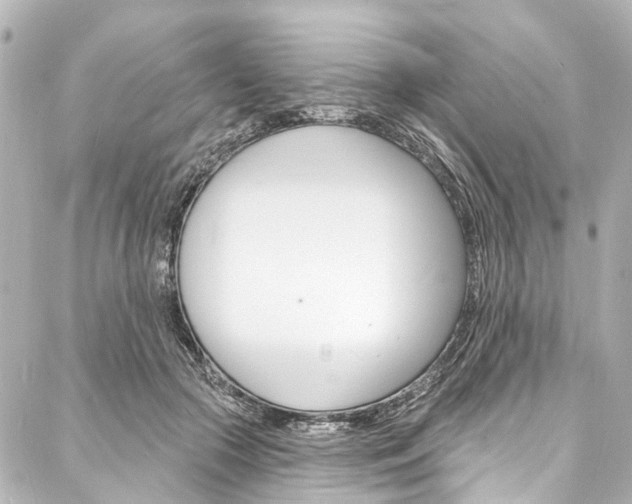X0000088080553200705111005