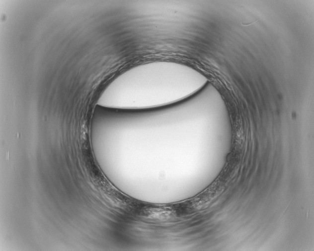 X0000088080555200705111005