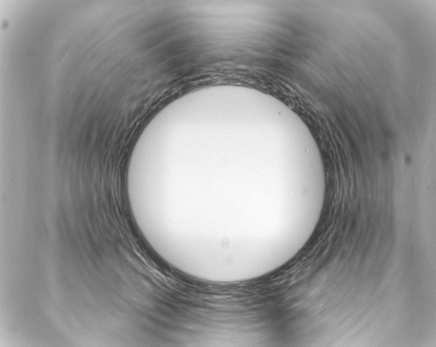 X0000088080562200705111005