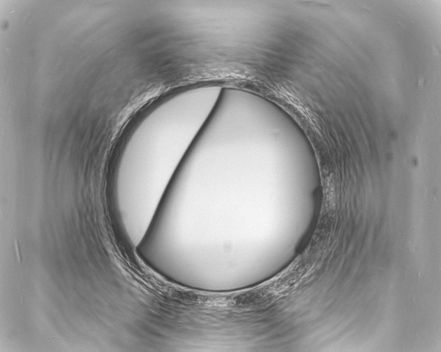 X0000088080587200705111004