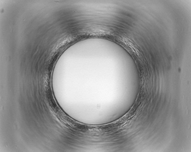 X0000088080591200705111004