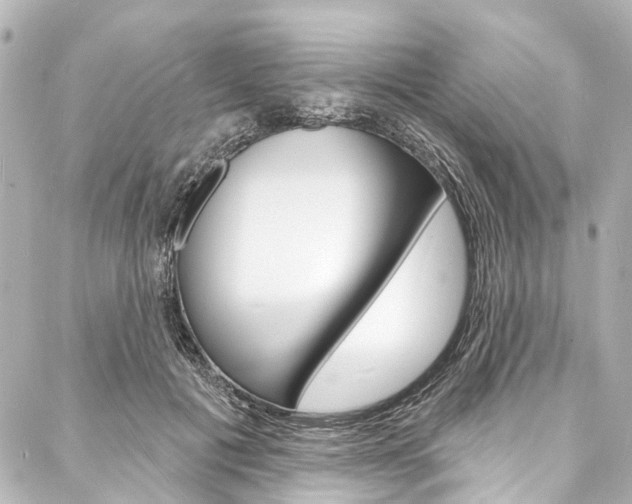 X0000088080601200705111004