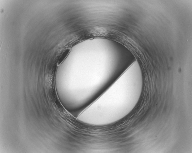 X0000088080604200705111004