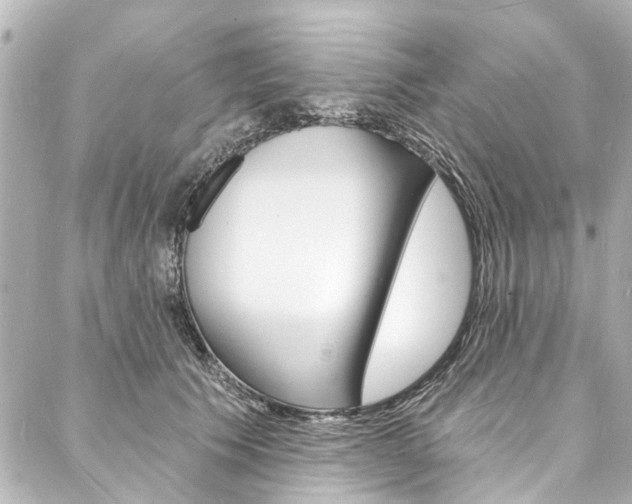 X0000088080609200705111004