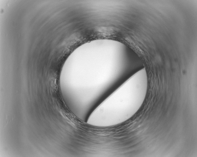 X0000088080615200705111004