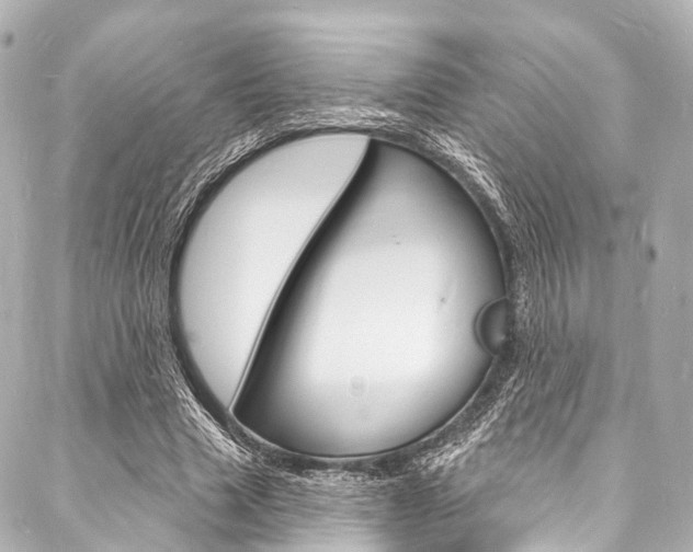 X0000088080633200705111003