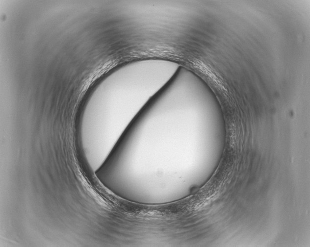 X0000088080634200705111003