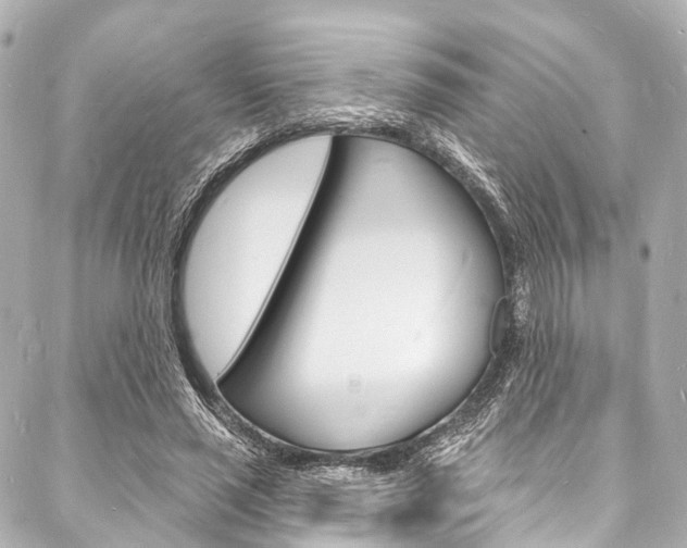 X0000088080637200705111003