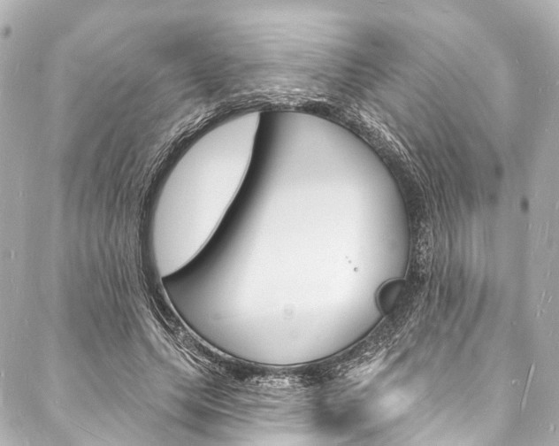 X0000088080639200705111003