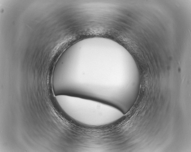 X0000088080640200705111003