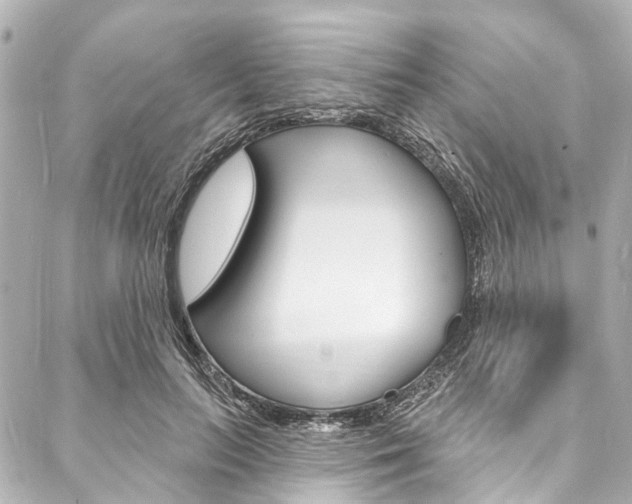 X0000088080647200705111003