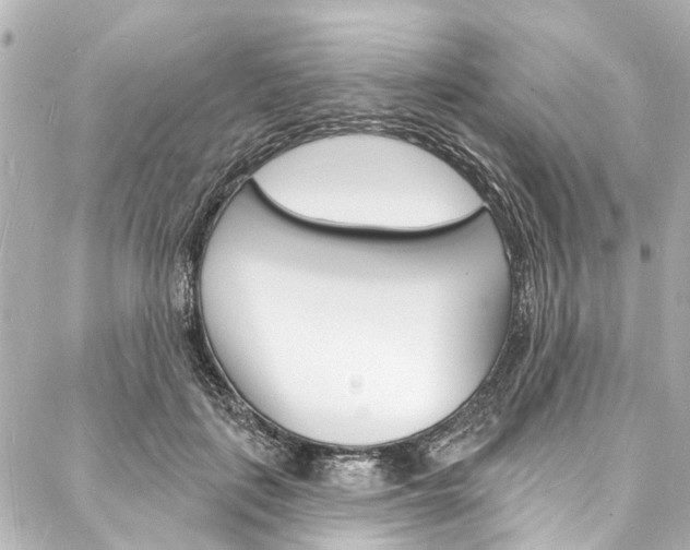 X0000088080651200705111003