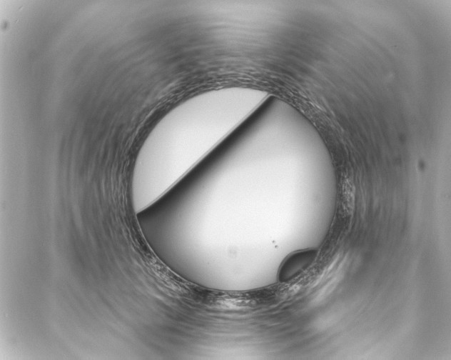 X0000088080657200705111004