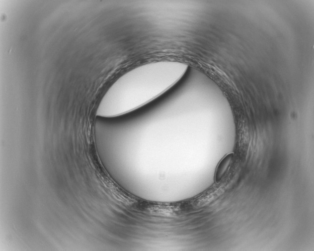 X0000088080661200705111004