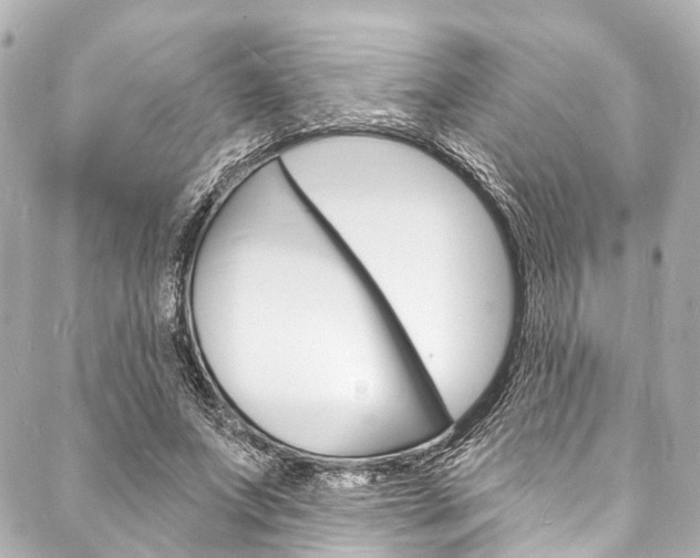 X0000088080687200705111003