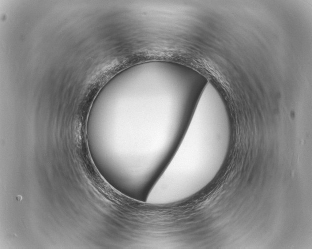 X0000088080692200705111003