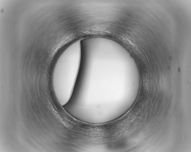 X0000088080735200705111002