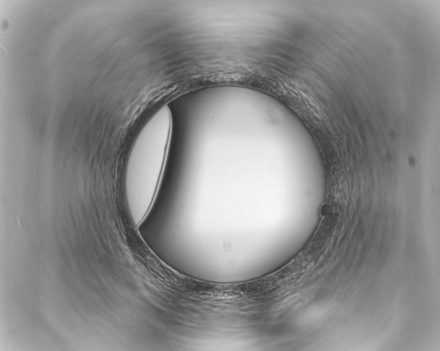 X0000088080743200705111002