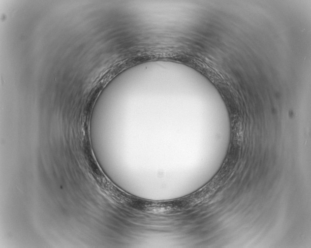X0000088080746200705111002