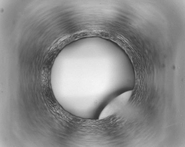 X0000088080773200705111001