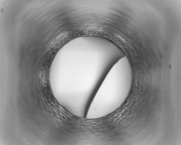 X0000088080774200705111001