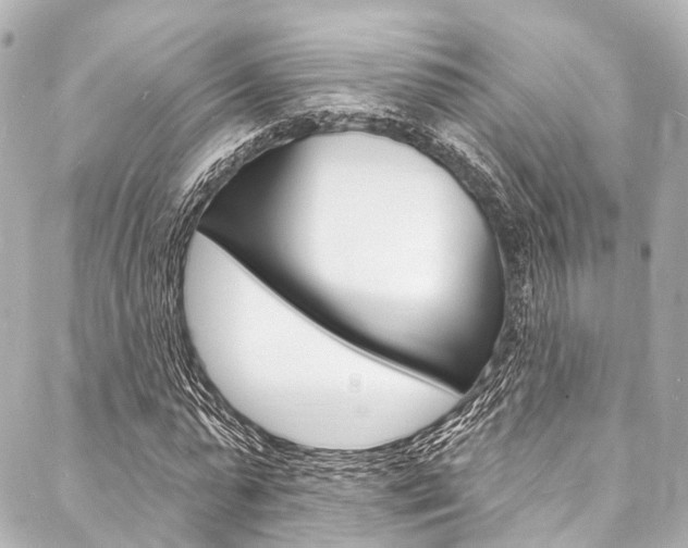 X0000088080775200705111001