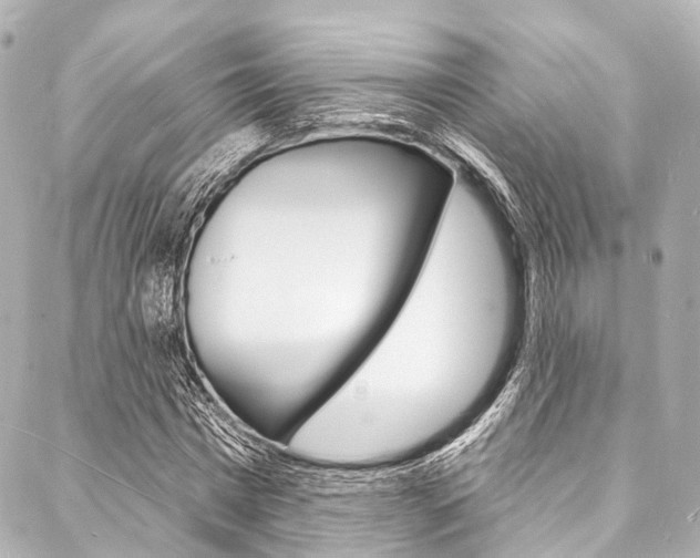 X0000088080777200705111001