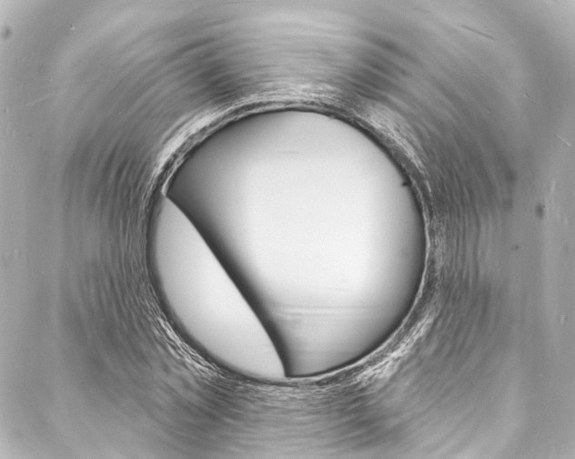 X0000088080781200705111001
