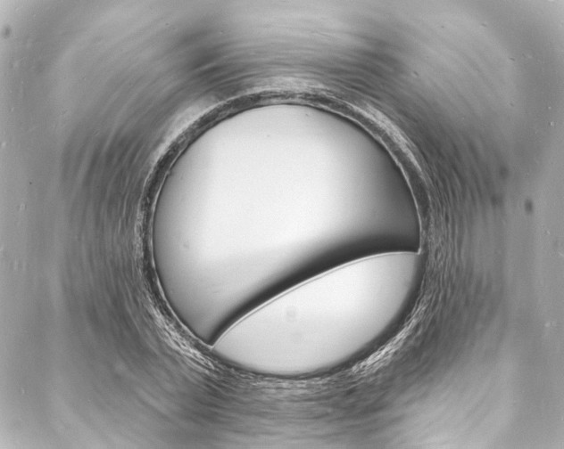 X0000088080783200705111001