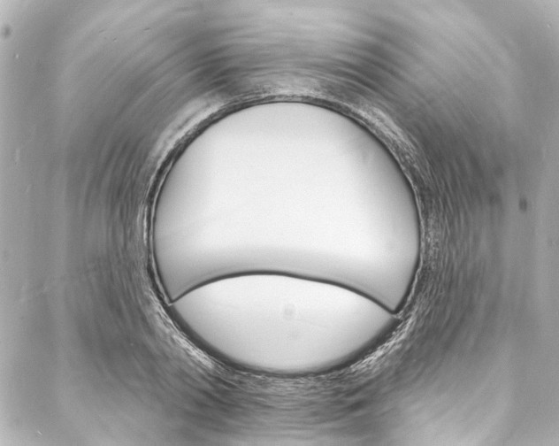 X0000088080790200705111001