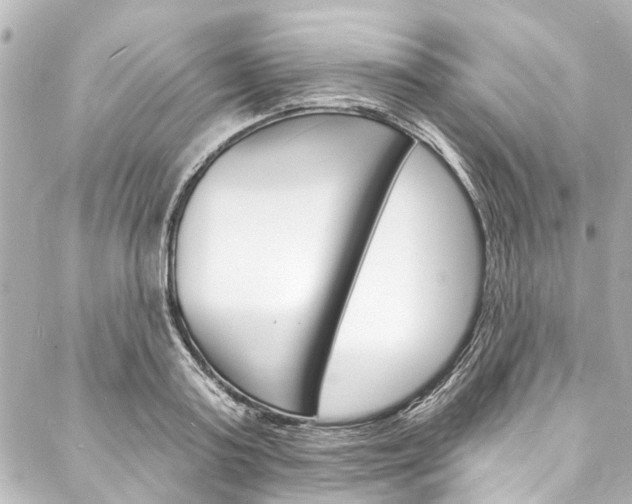 X0000088080795200705111001